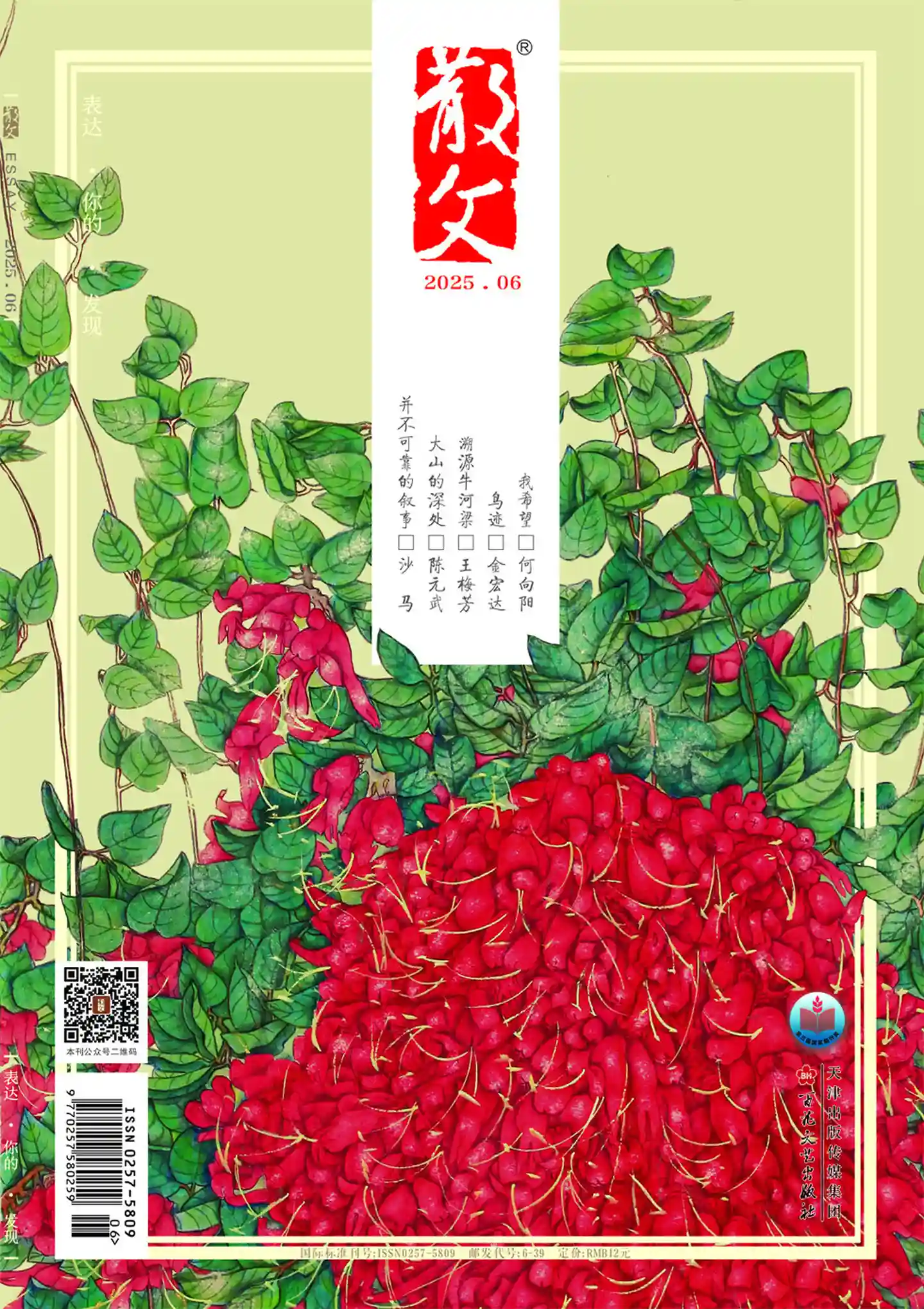 《散文》2025年第6期全彩精校PDF杂志下载